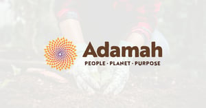 9.29 Adamah